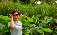 亚洲婷婷国产精品电影人久久